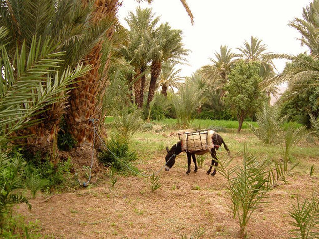 Kasbah Itrane Panzió Tamnougalt Kültér fotó
